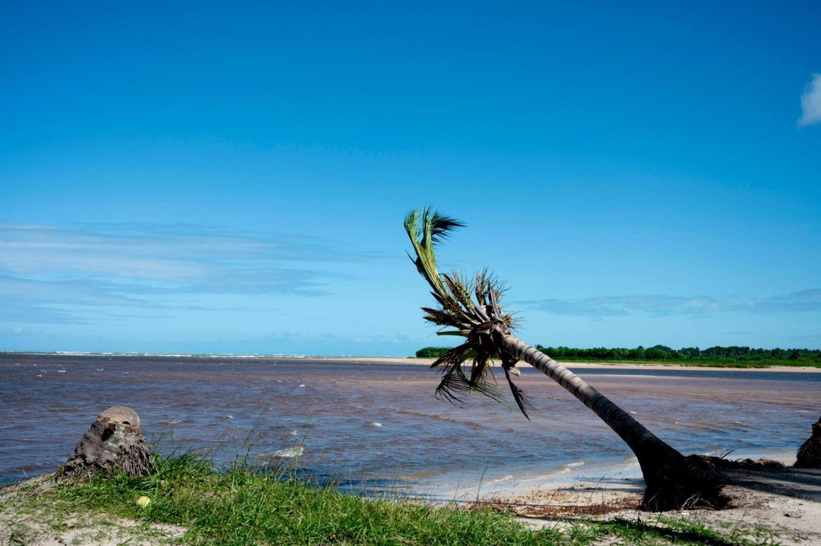 Bangalo Verde Recanto Uana - 280M Praia Tatuamunha Maceió エクステリア 写真